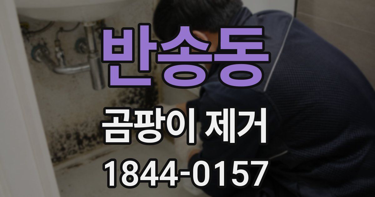 반송동 곰팡이 제거
