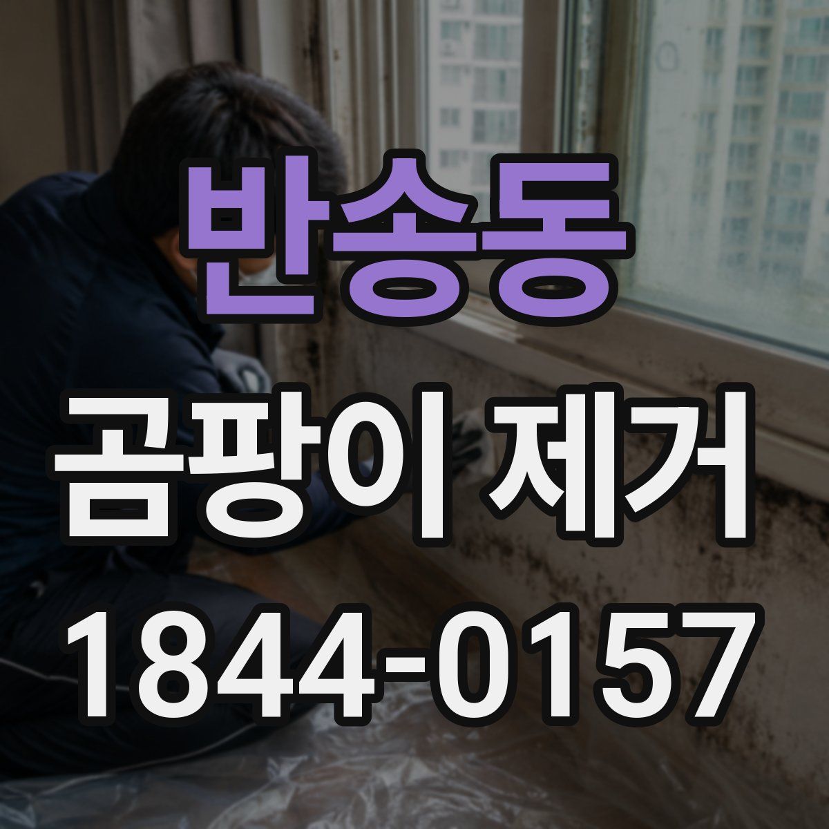 반송동 곰팡이 제거