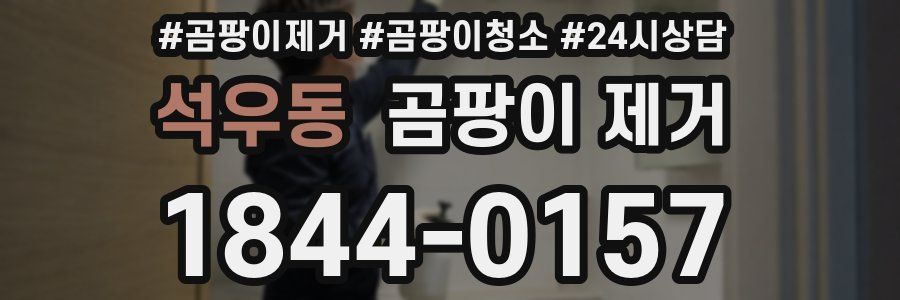 석우동 곰팡이 제거