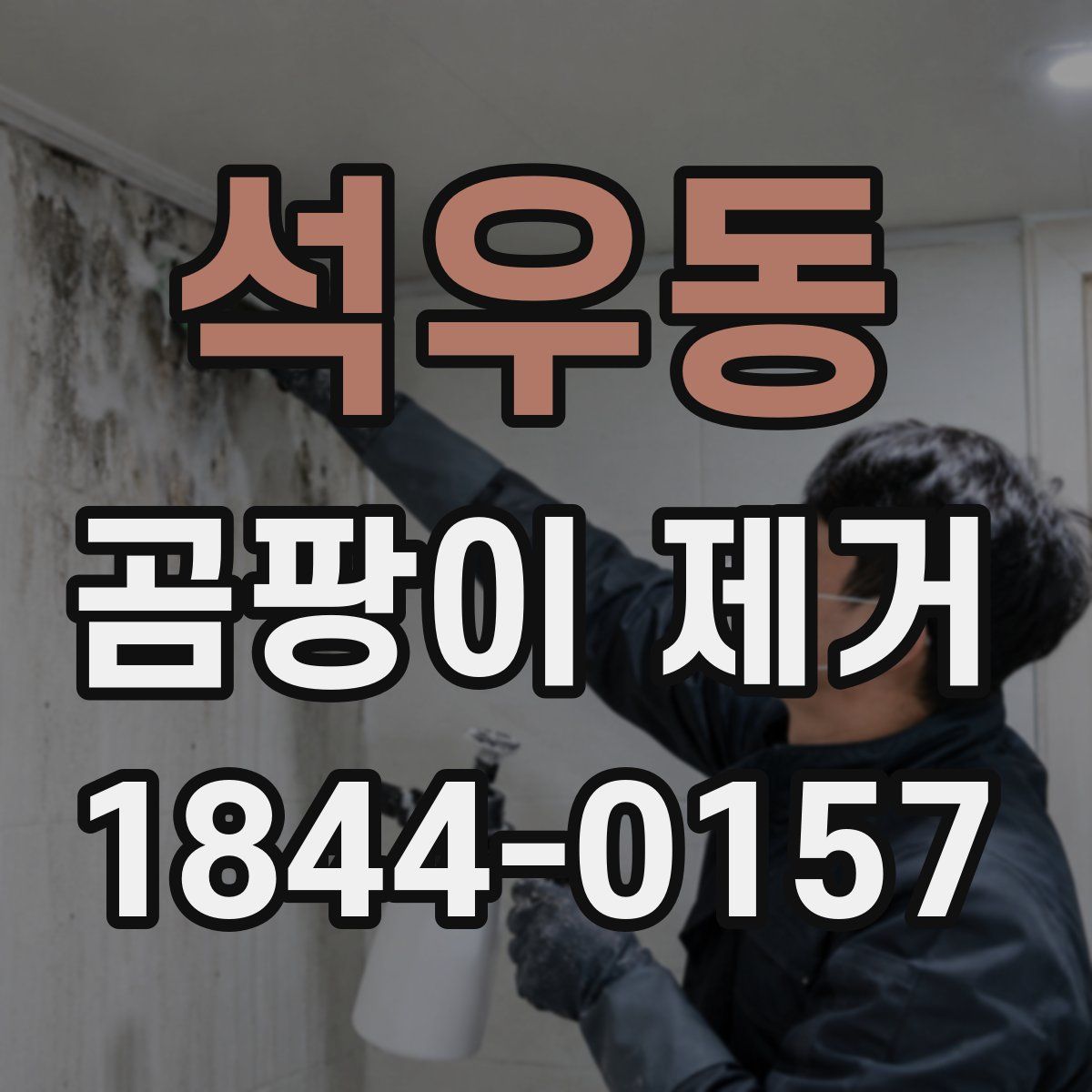 석우동 곰팡이 제거