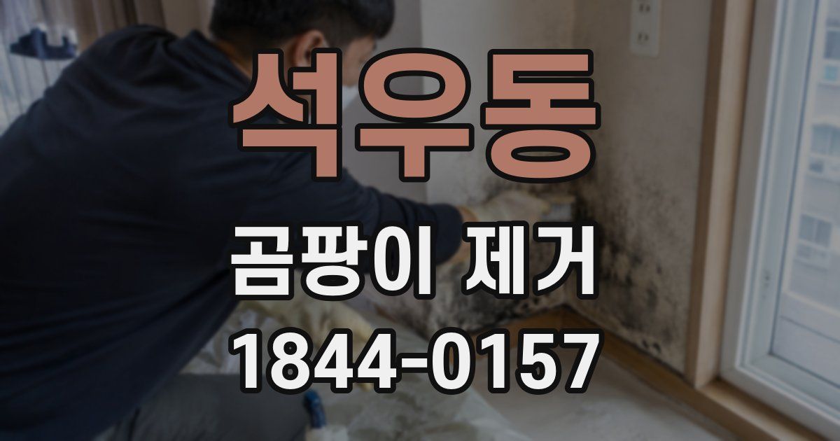 석우동 곰팡이 제거