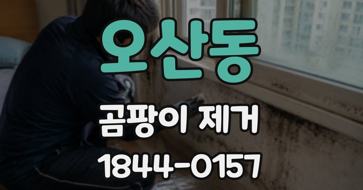 오산동 곰팡이 제거