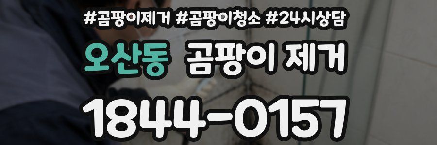 오산동 곰팡이 제거
