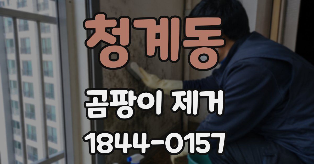청계동 곰팡이 제거