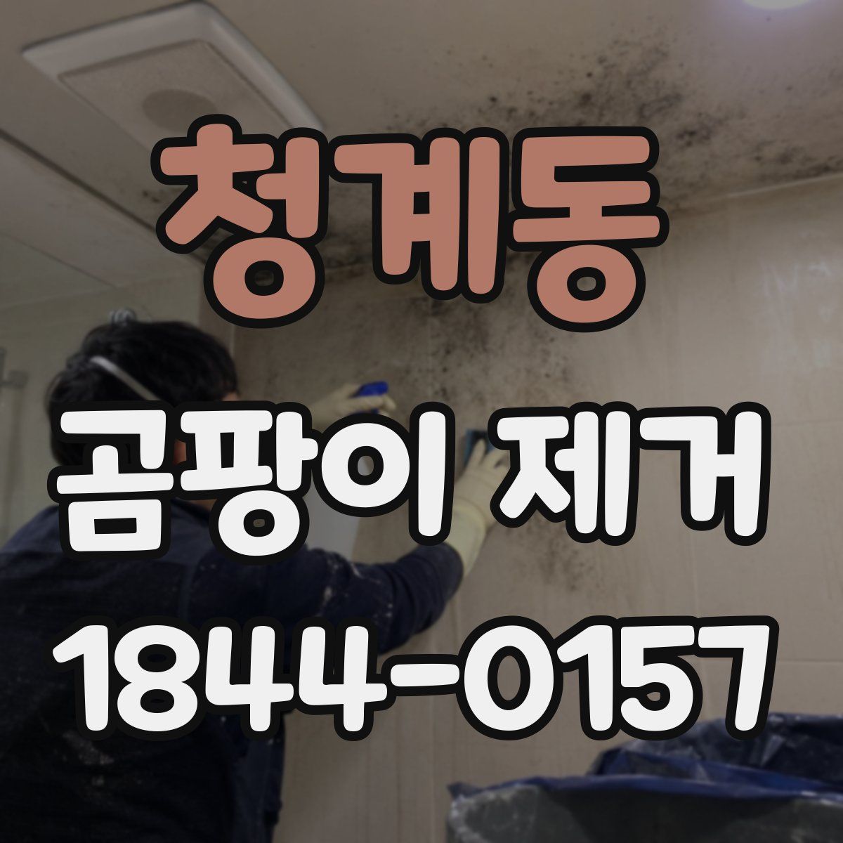 청계동 곰팡이 제거