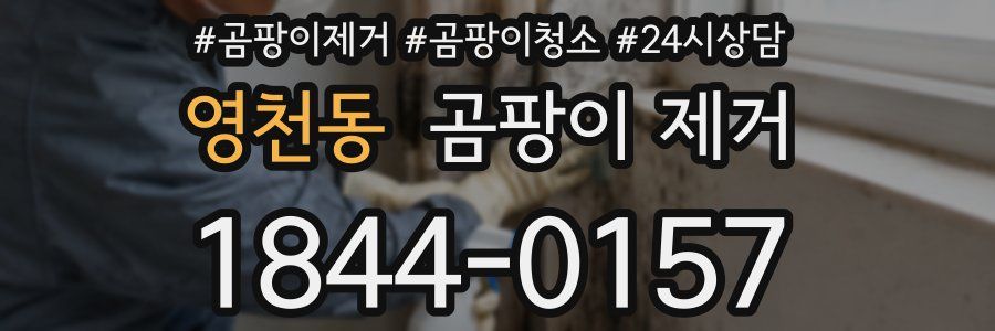 영천동 곰팡이 제거