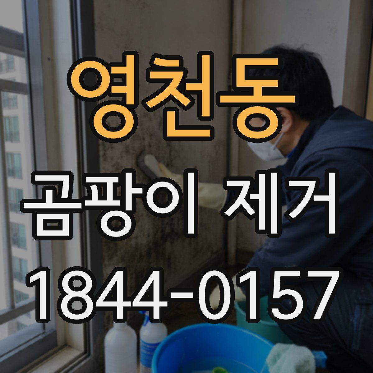 영천동 곰팡이 제거