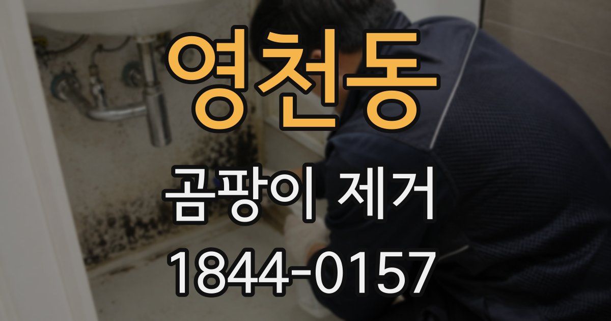 영천동 곰팡이 제거