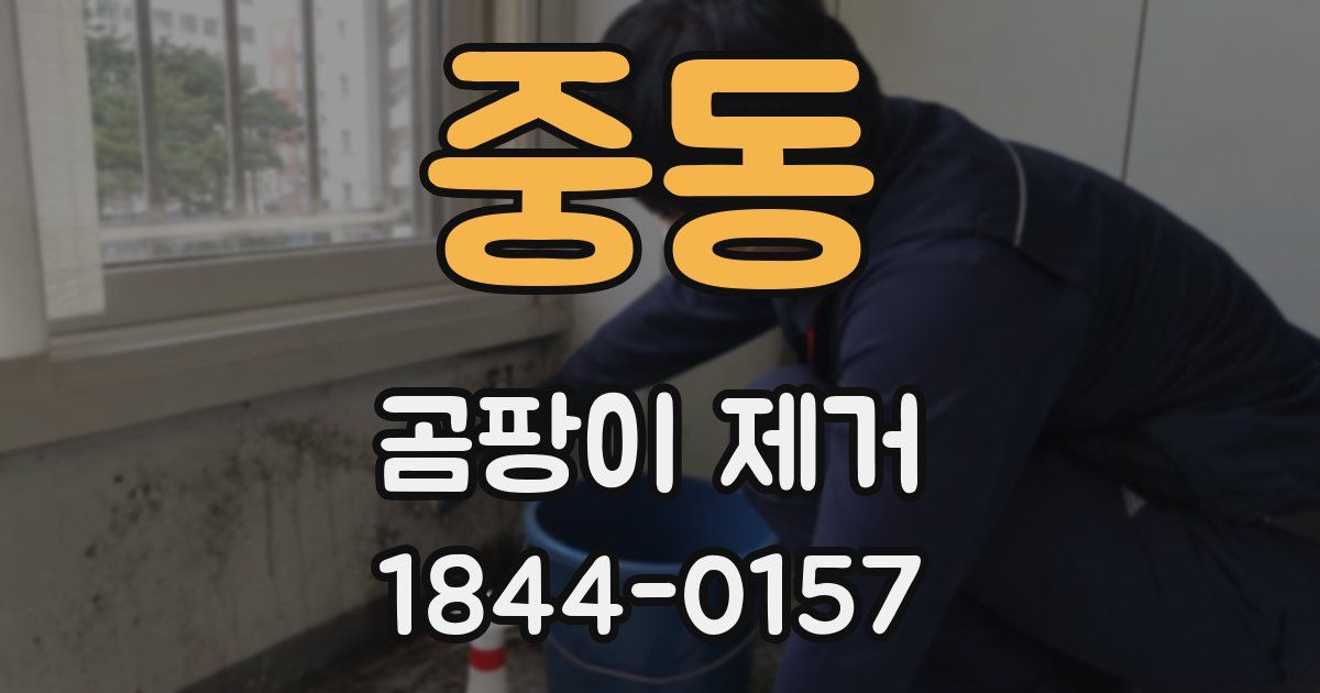 중동 곰팡이 제거