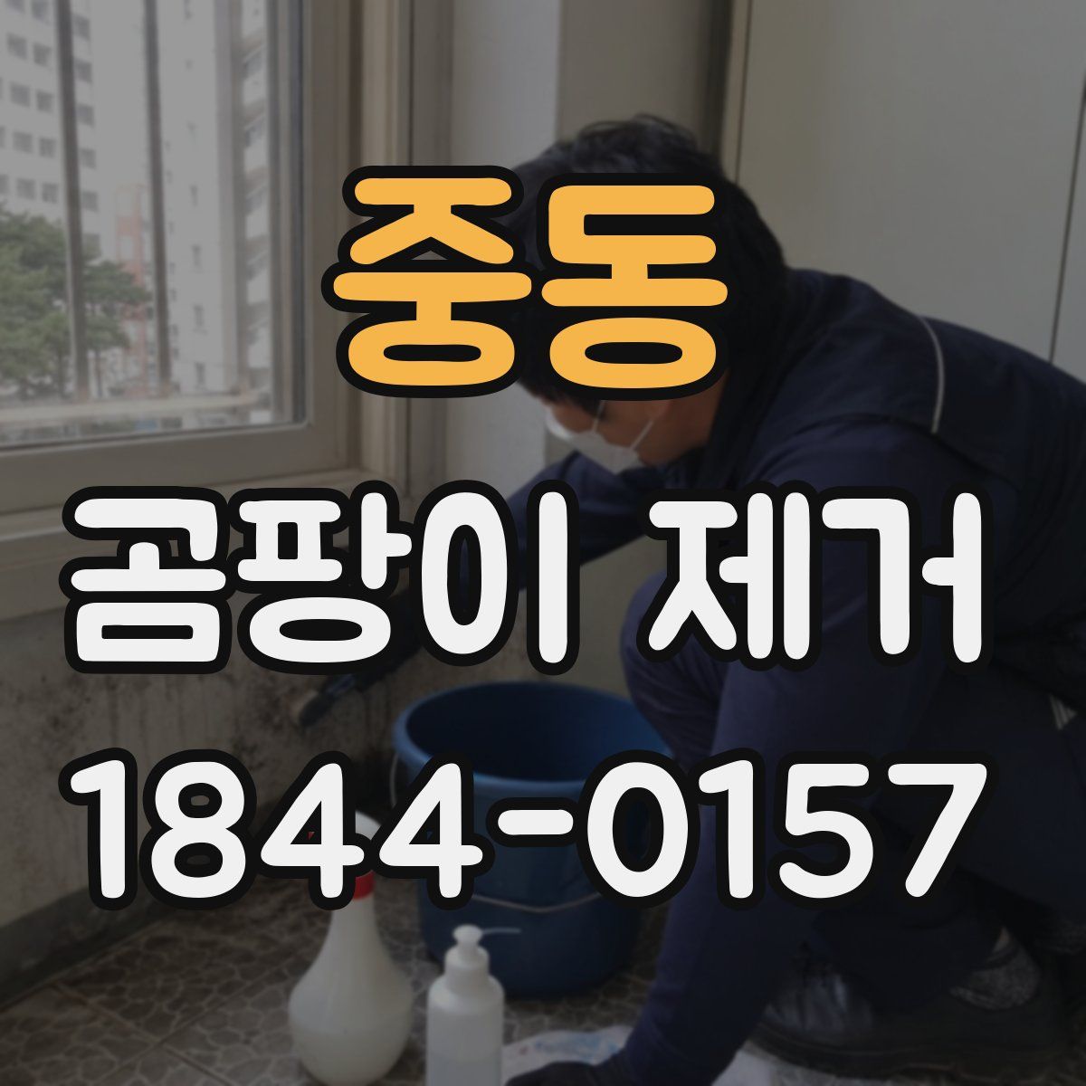 중동 곰팡이 제거