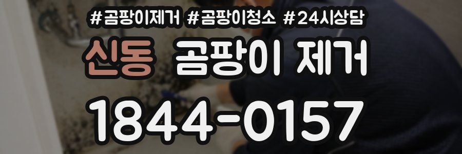 신동 곰팡이 제거
