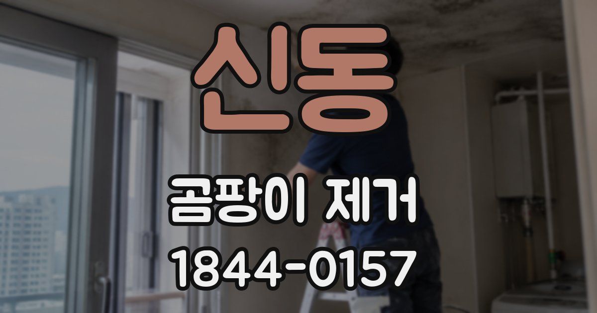 신동 곰팡이 제거
