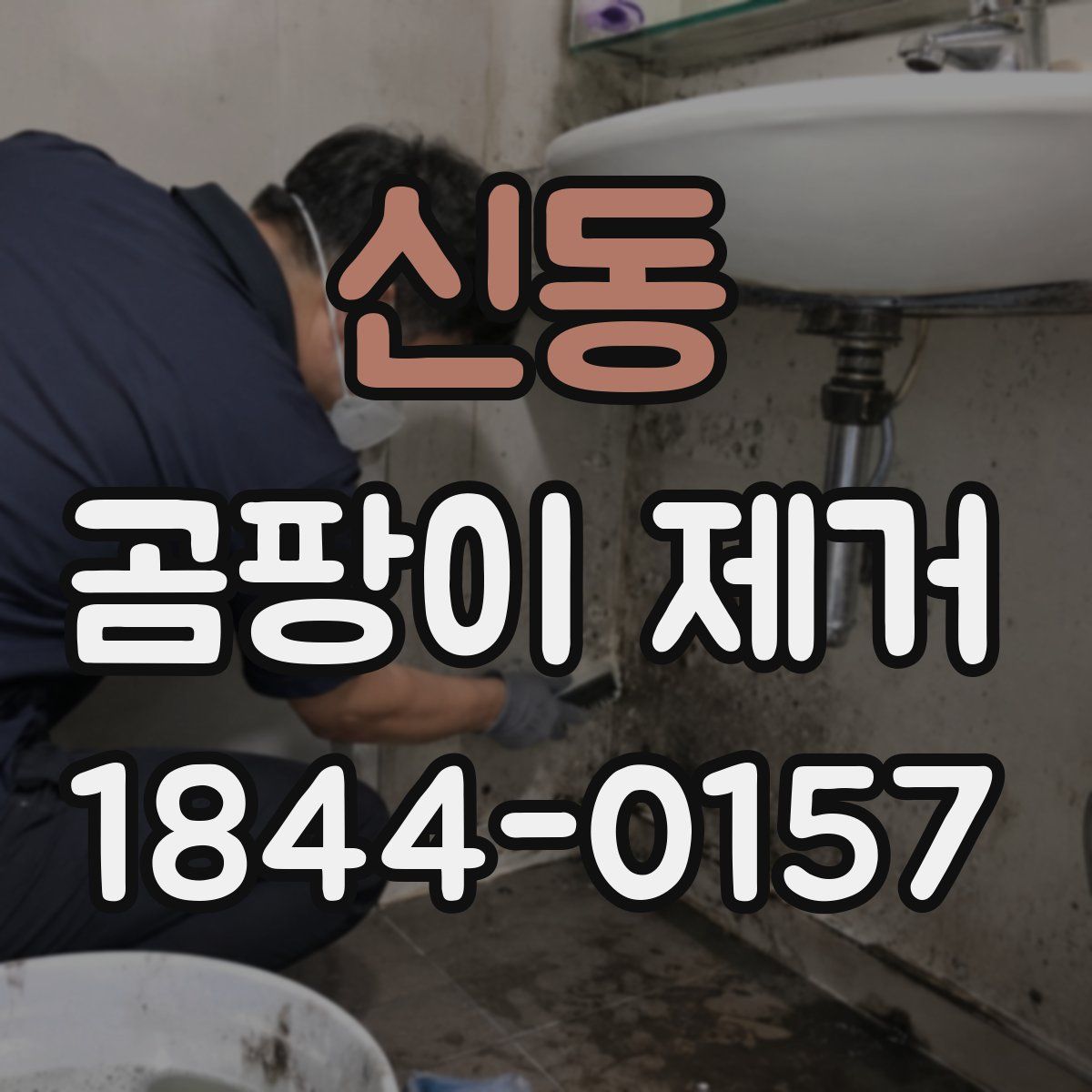 신동 곰팡이 제거