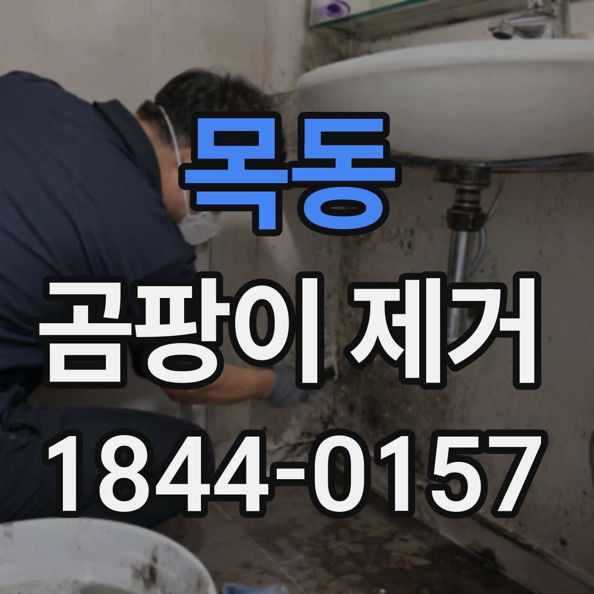목동 곰팡이 제거