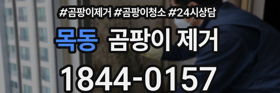 목동 곰팡이 제거