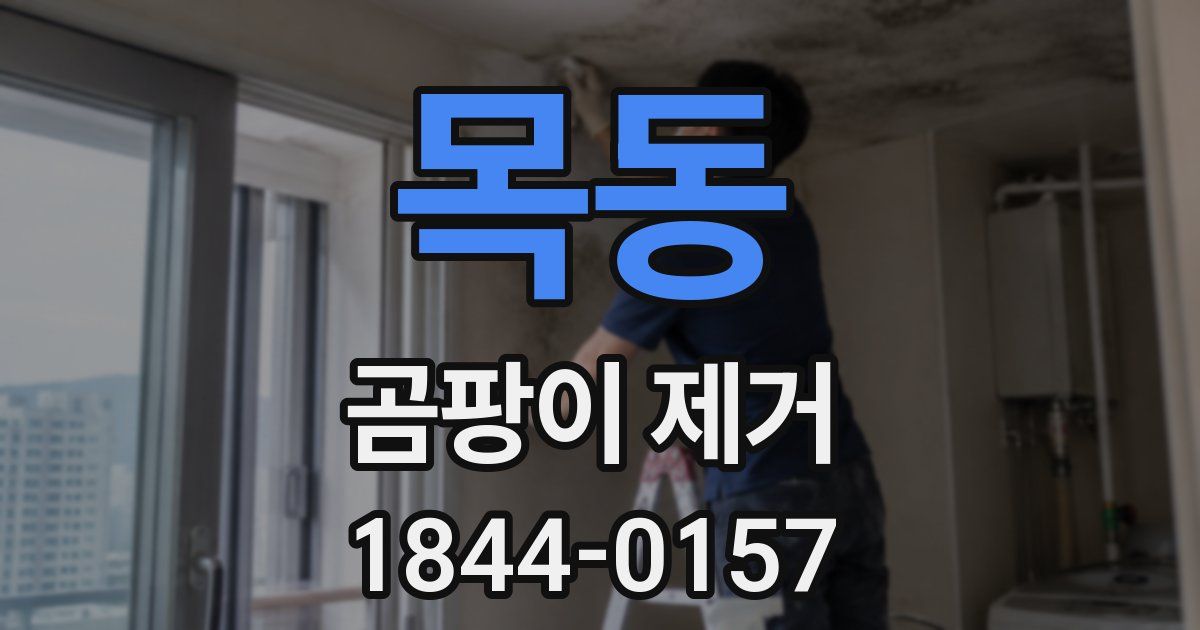목동 곰팡이 제거