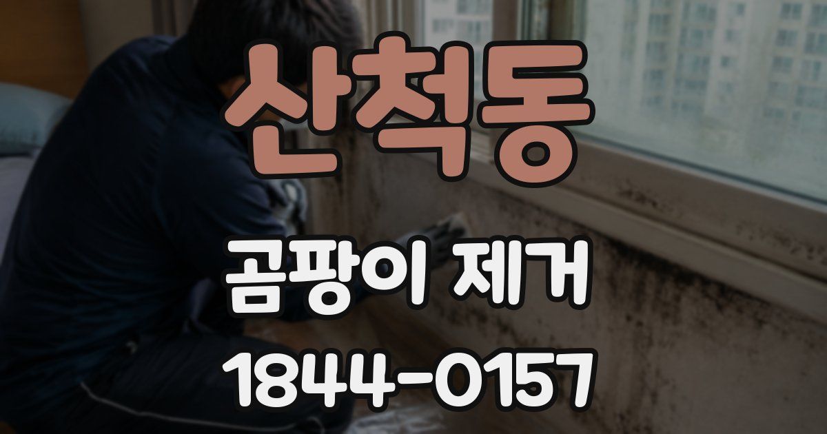 산척동 곰팡이 제거
