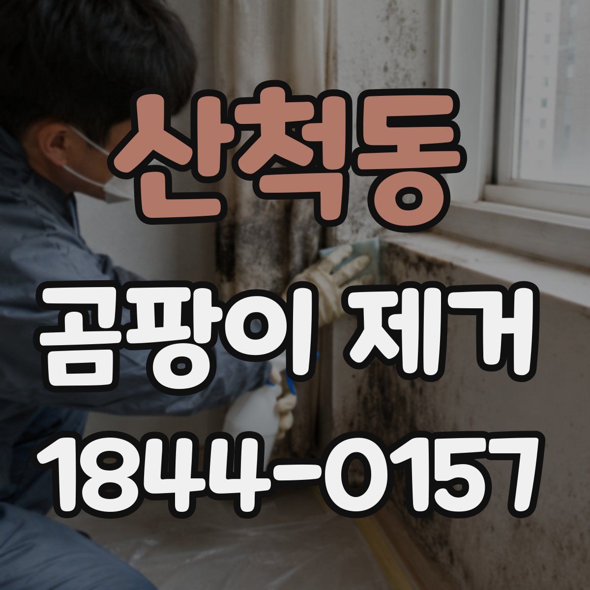 산척동 곰팡이 제거