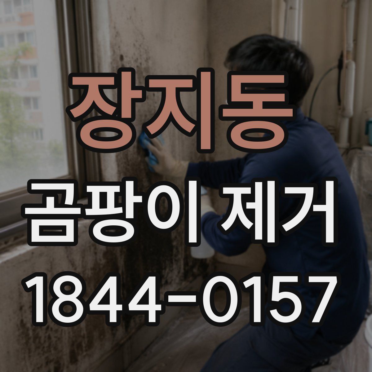 장지동 곰팡이 제거