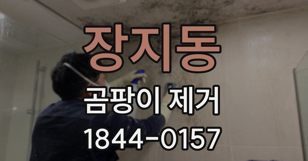 장지동 곰팡이 제거