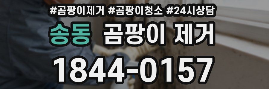 송동 곰팡이 제거