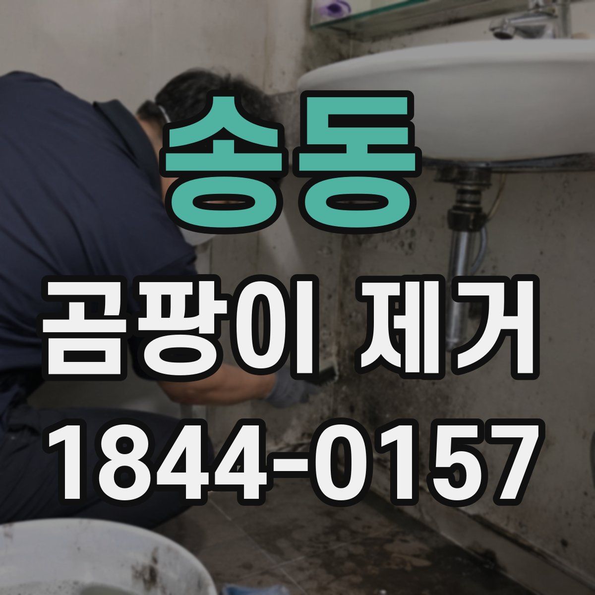 송동 곰팡이 제거