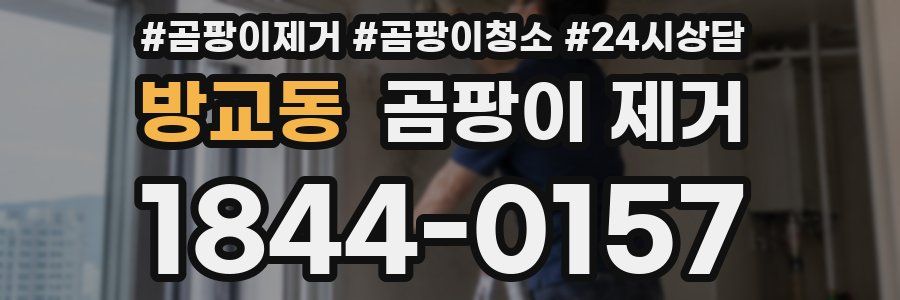 방교동 곰팡이 제거