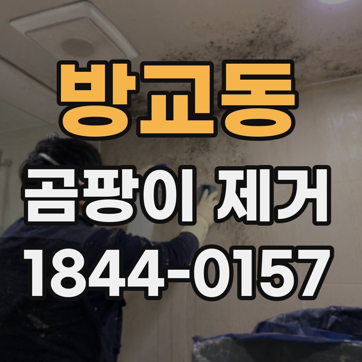 방교동 곰팡이 제거