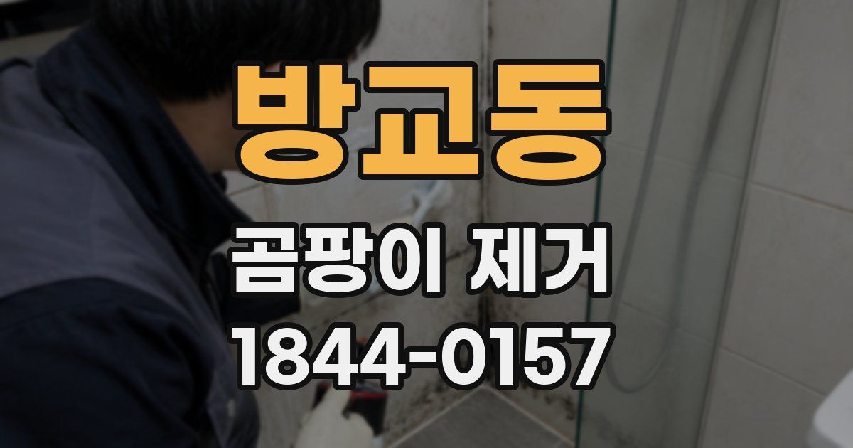 방교동 곰팡이 제거