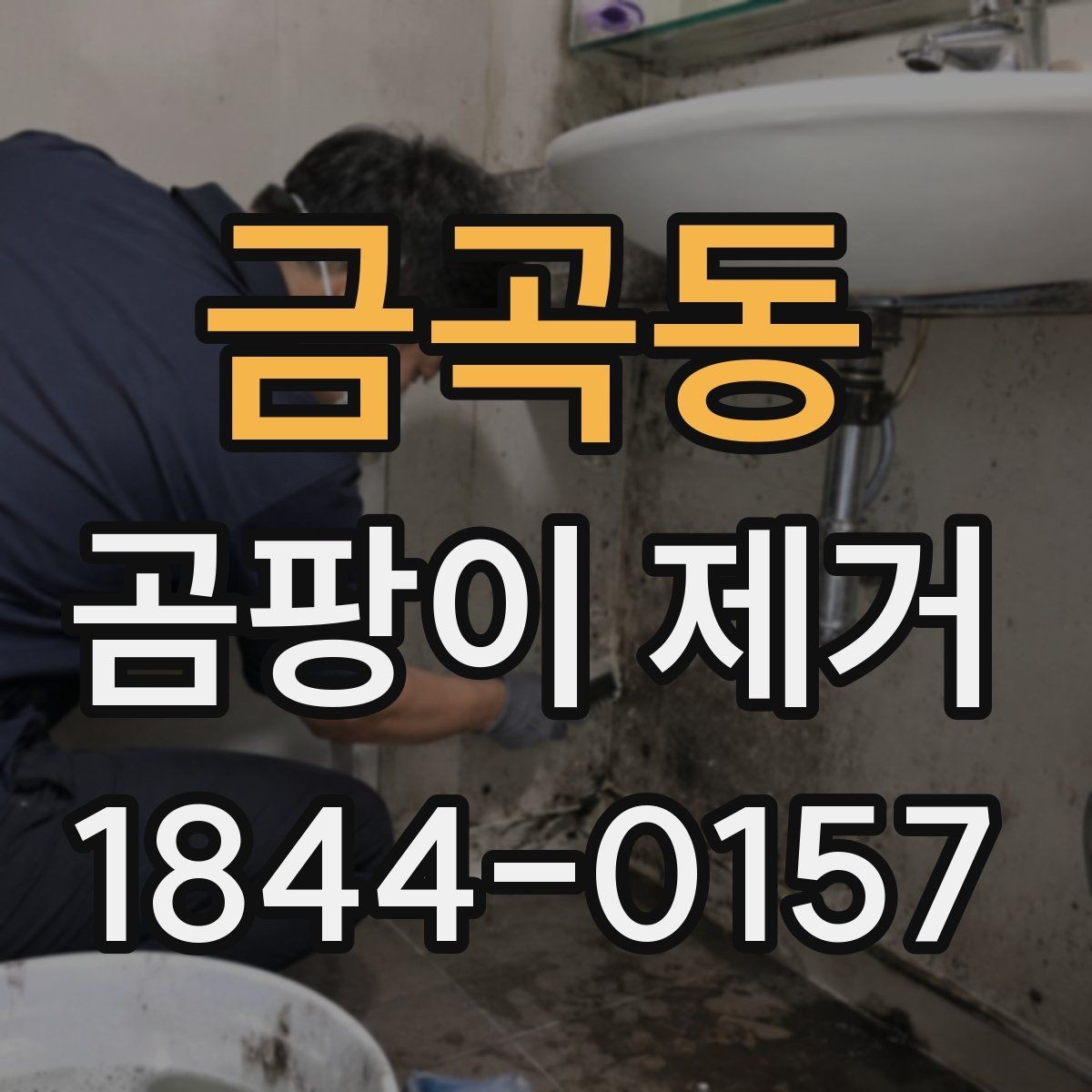 금곡동 곰팡이 제거 계절이 바뀔 때 점검할 관리 항목