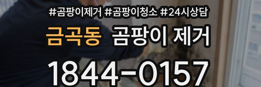 금곡동 곰팡이 제거