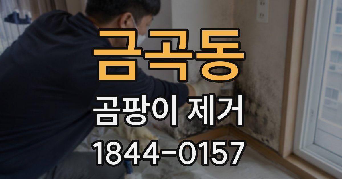 금곡동 곰팡이 제거