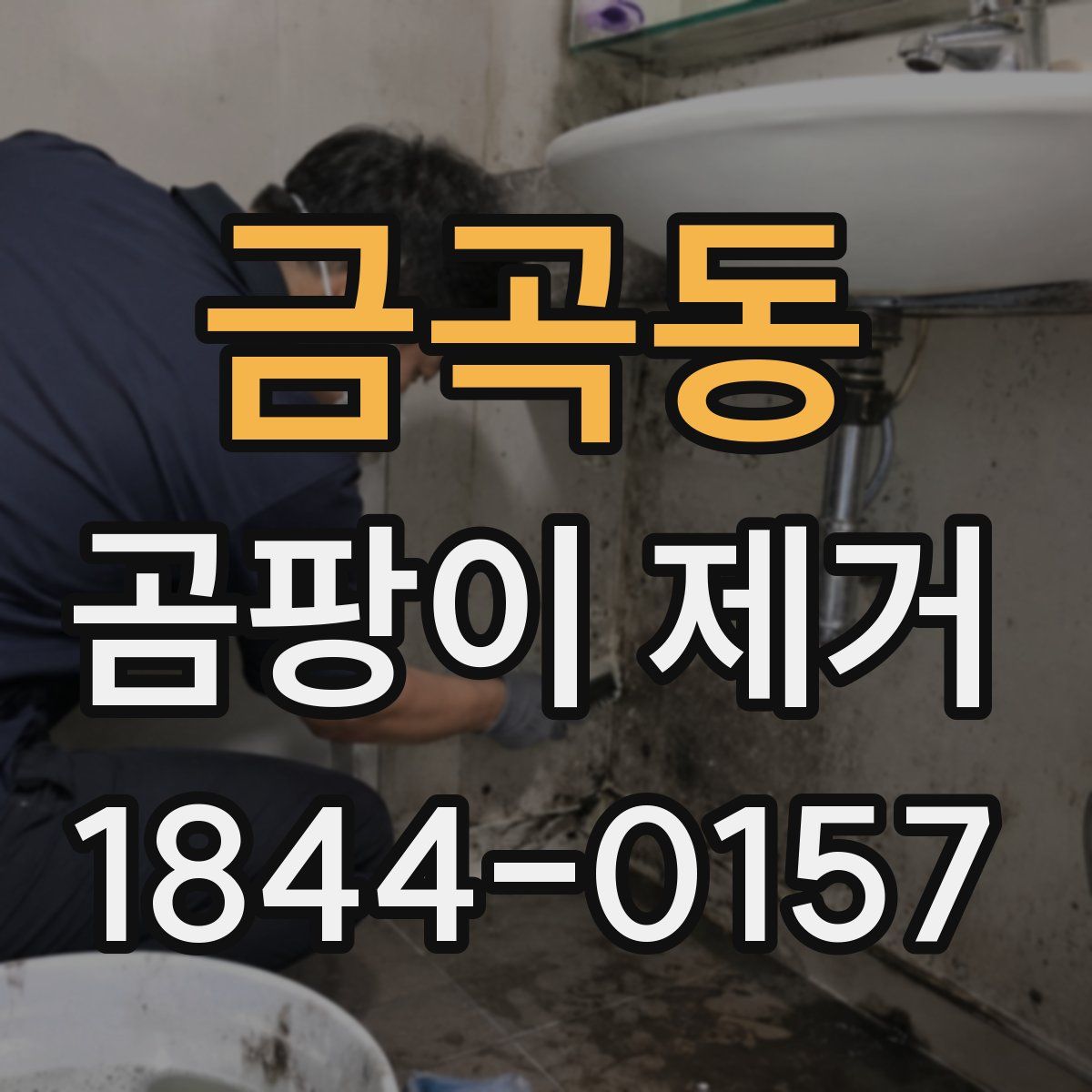 금곡동 곰팡이 제거