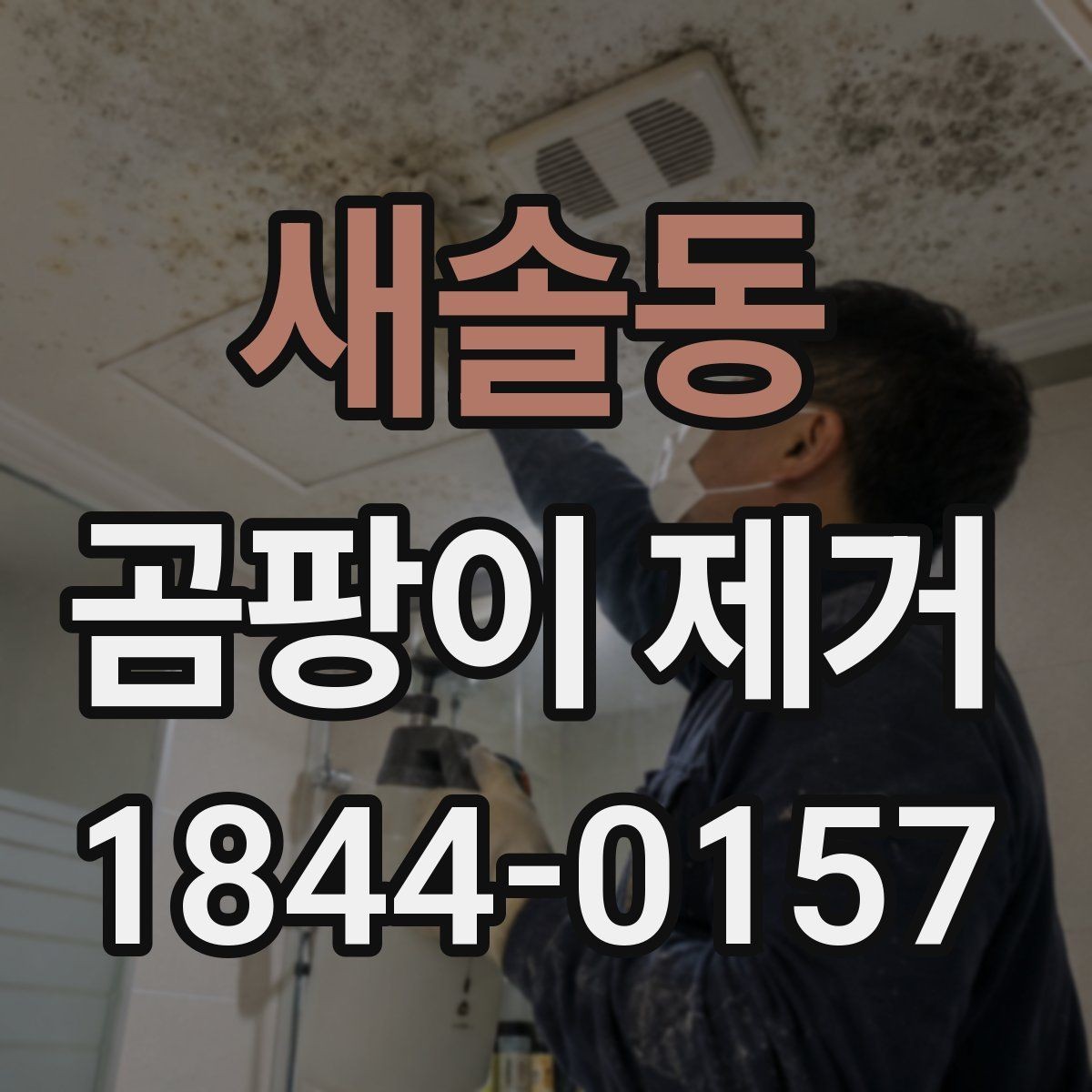 새솔동 곰팡이 제거 벽과 바닥을 말리는 기본 과정