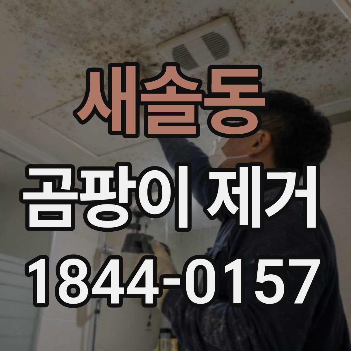 새솔동 곰팡이 제거