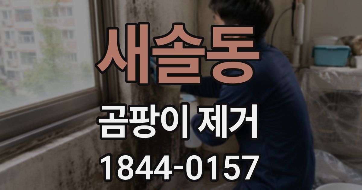 새솔동 곰팡이 제거