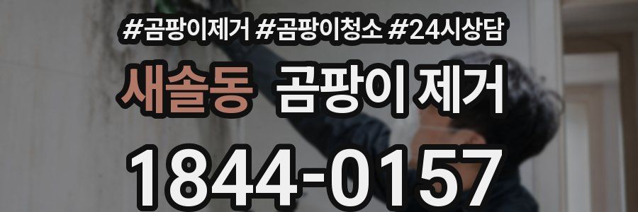 새솔동 곰팡이 제거