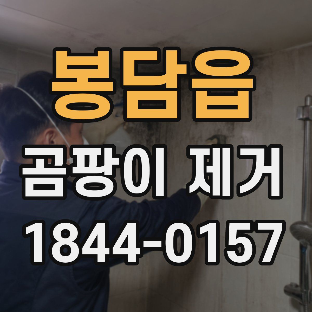 봉담읍 곰팡이 제거