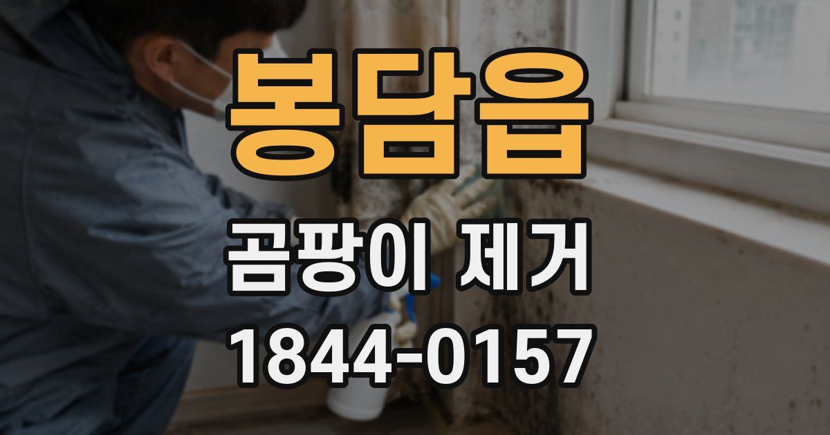 봉담읍 곰팡이 제거