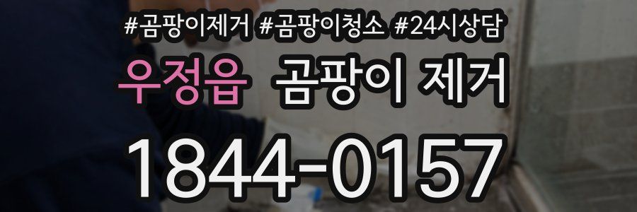 우정읍 곰팡이 제거