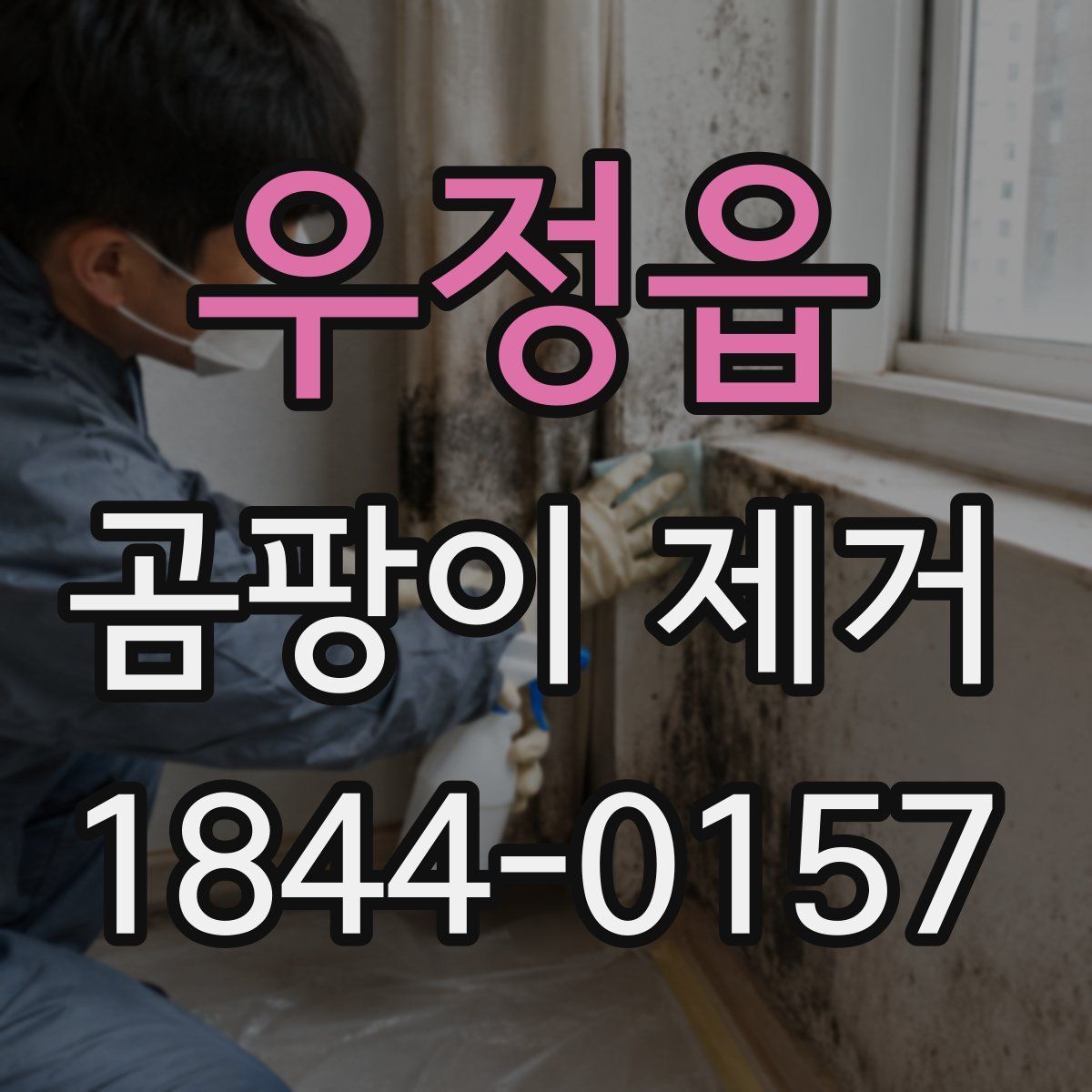 우정읍 곰팡이 제거