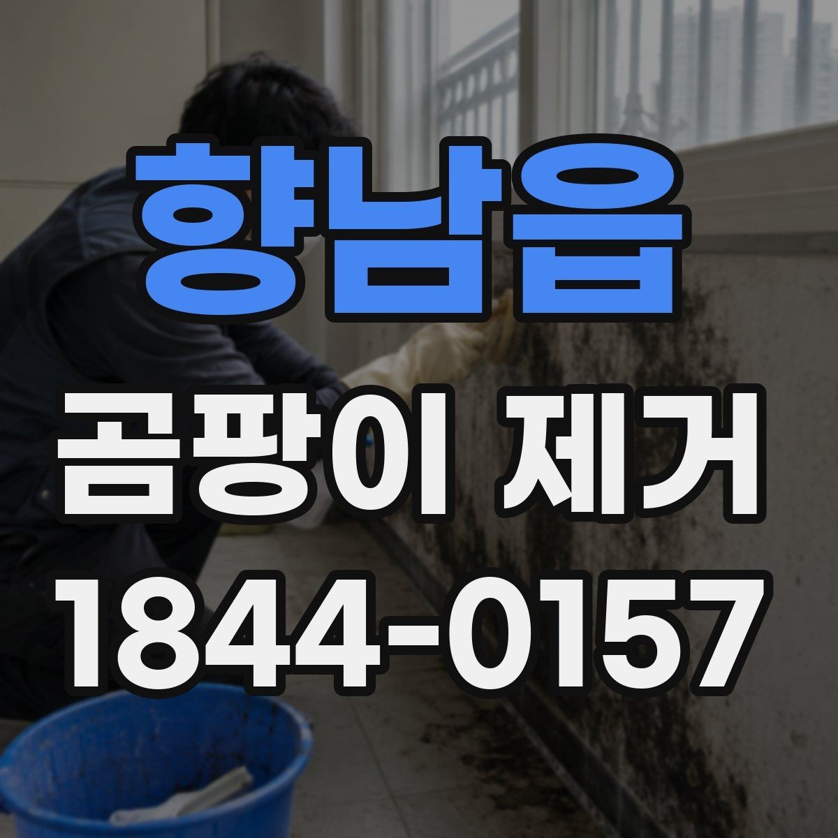향남읍 곰팡이 제거 창틀과 실리콘에서 시작하는 점검