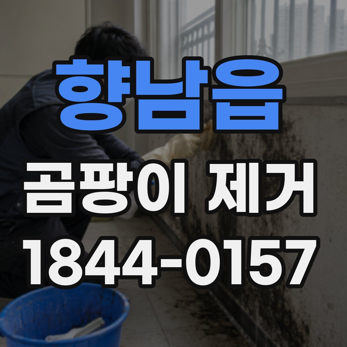 향남읍 곰팡이 제거