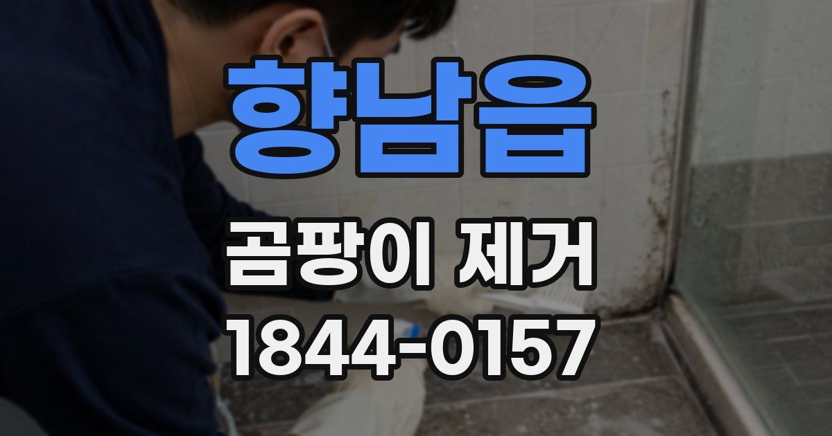 향남읍 곰팡이 제거