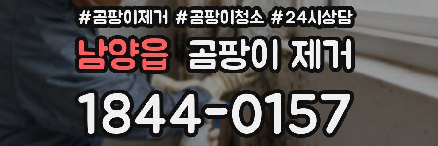 남양읍 곰팡이 제거