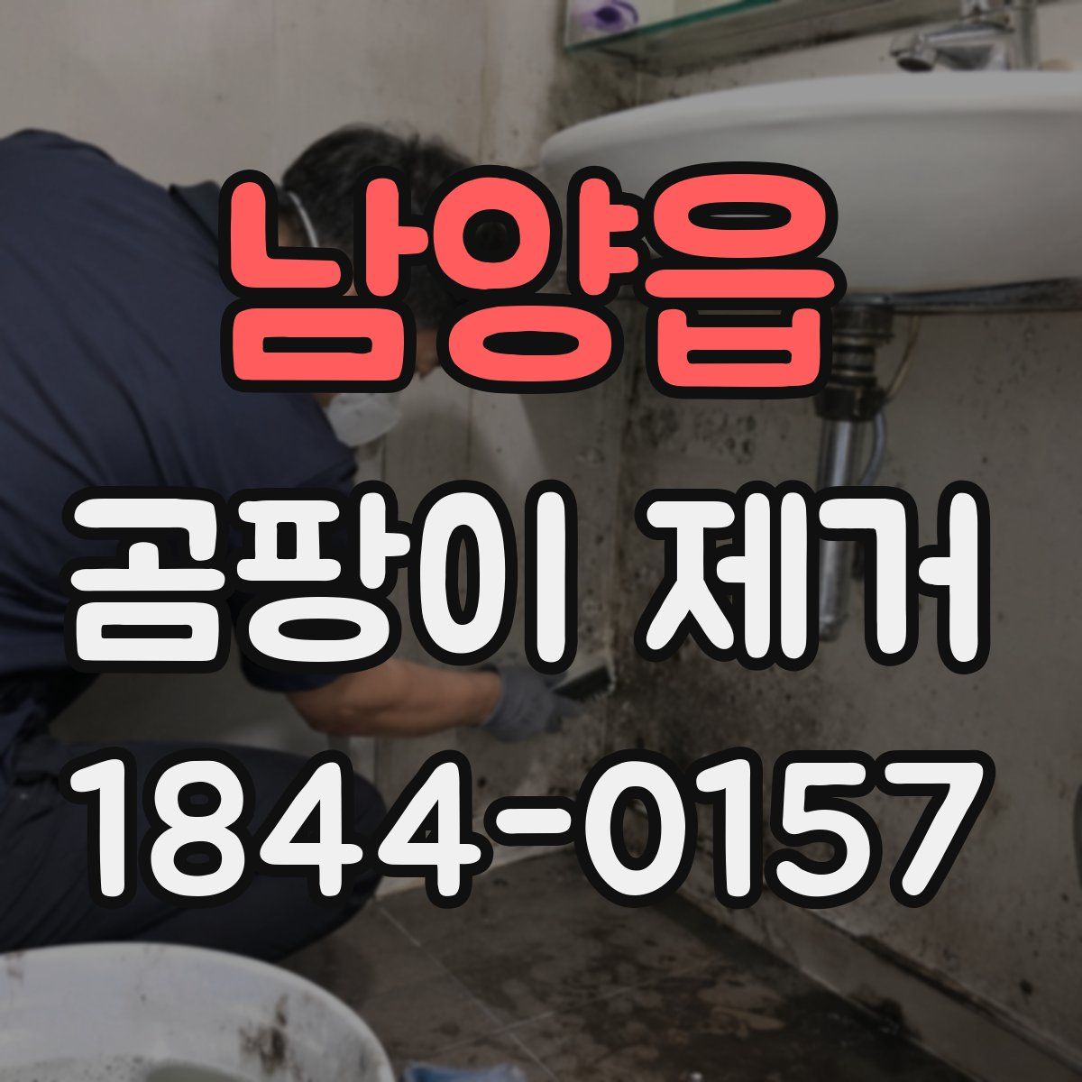 남양읍 곰팡이 제거