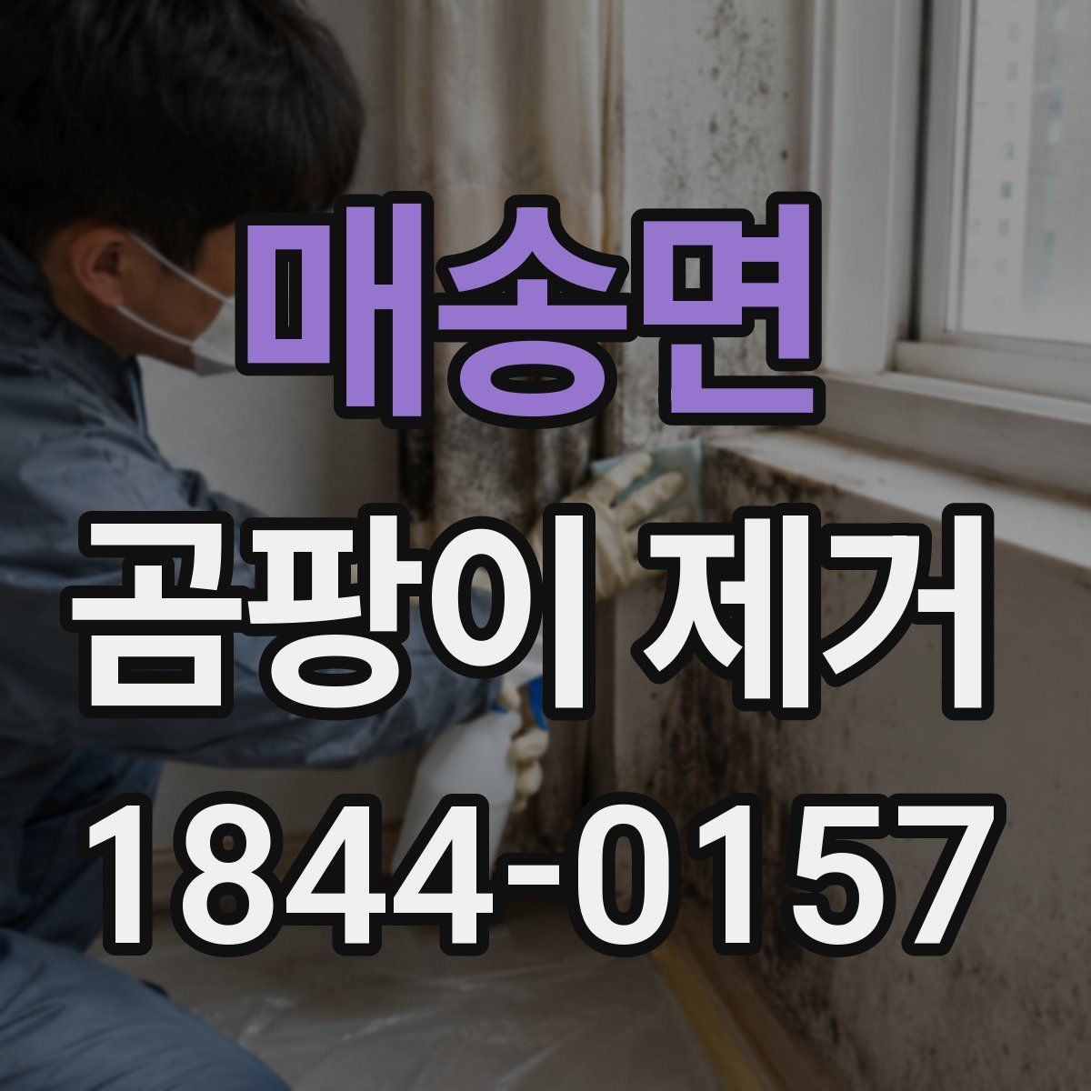 매송면 곰팡이 제거