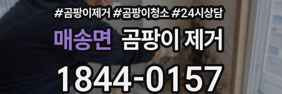 매송면 곰팡이 제거