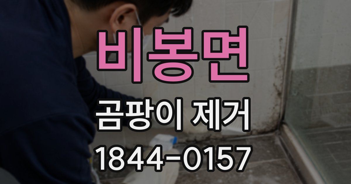 비봉면 곰팡이 제거