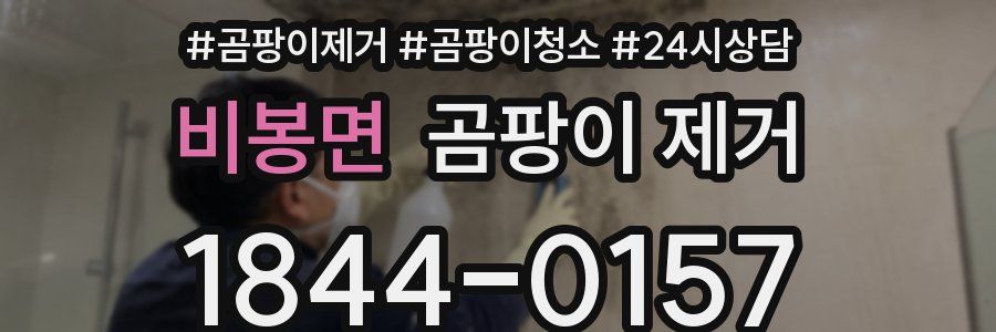 비봉면 곰팡이 제거